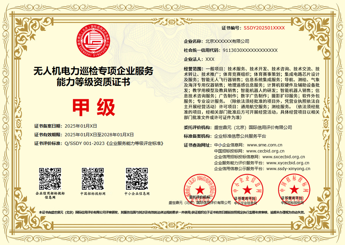 盛世鼎元无人机电力巡检专项企业服务能力等